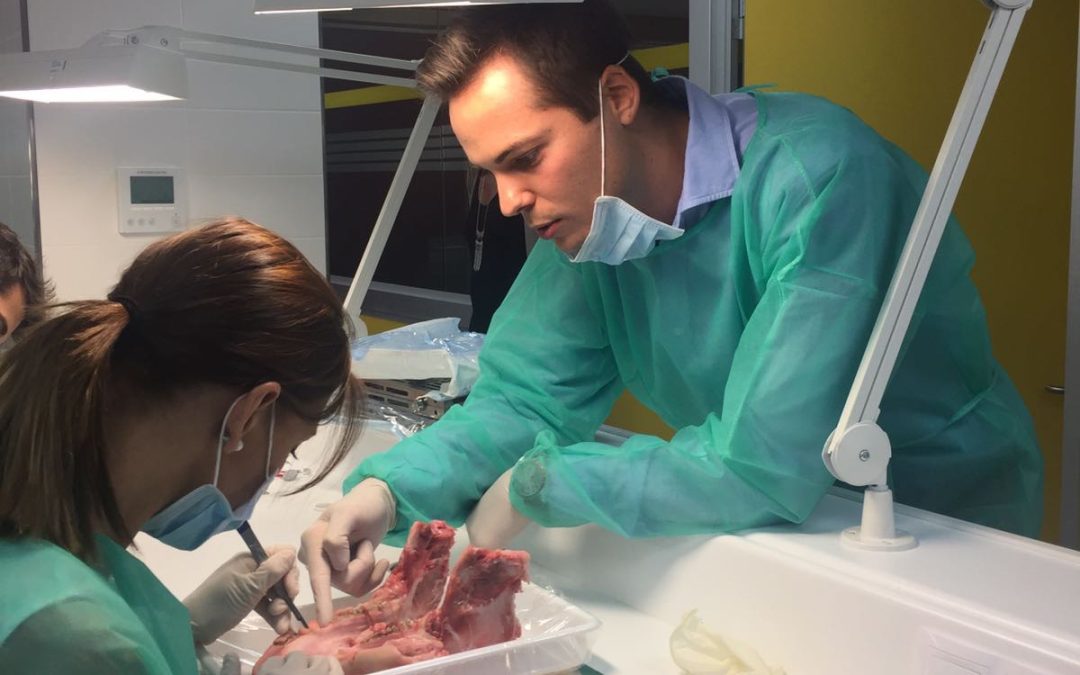 Máster Universitario en Implantología Oral 4