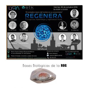 Iv-regenera-meeting-day-sevilla